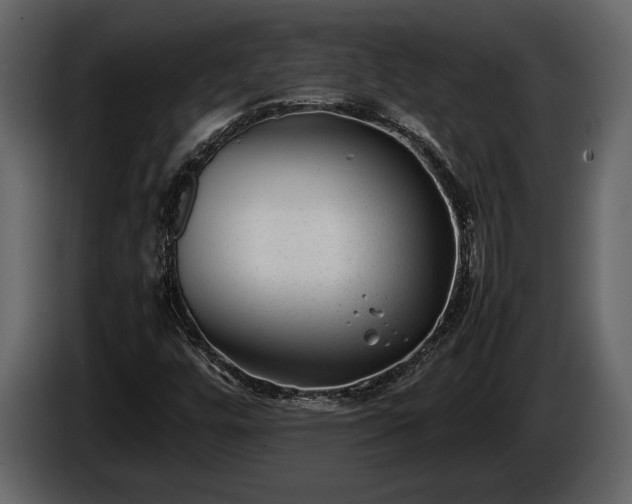 X0000085731448200703231038