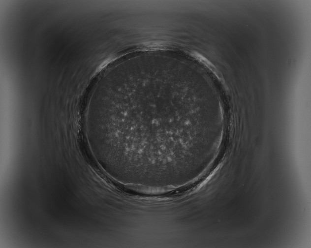 X0000085731449200703231038