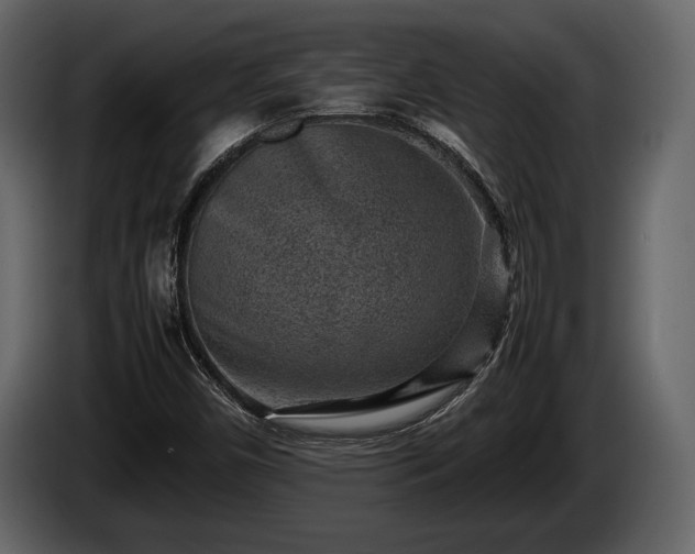 X0000085731450200703231038