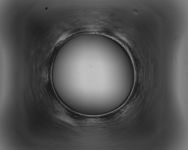 X0000085731451200703231038