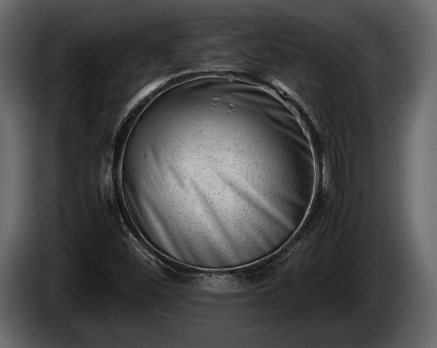 X0000085731452200703231038