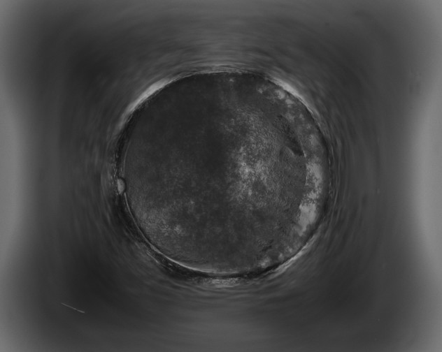 X0000085731453200703231038