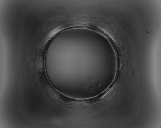 X0000085731455200703231038