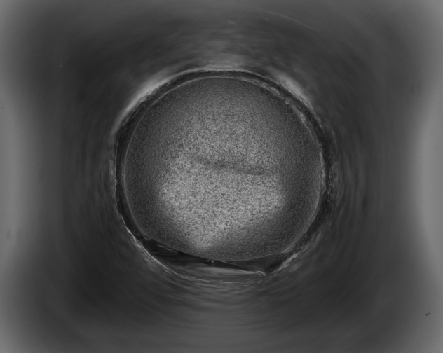 X0000085731456200703231038