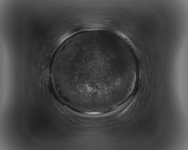 X0000085731457200703231038