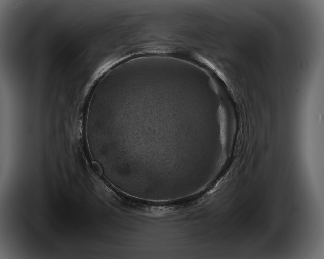 X0000085731459200703231038