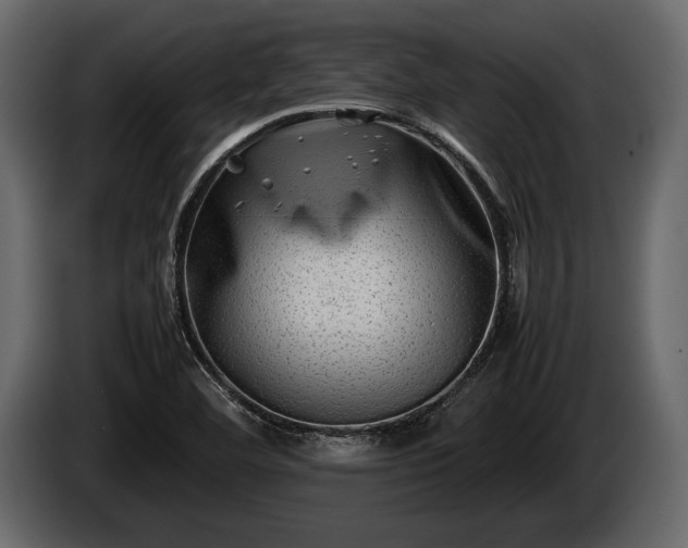 X0000085731460200703231038