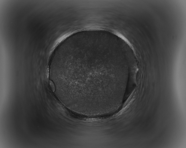 X0000085731461200703231037