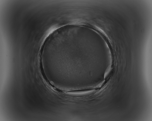 X0000085731463200703231037