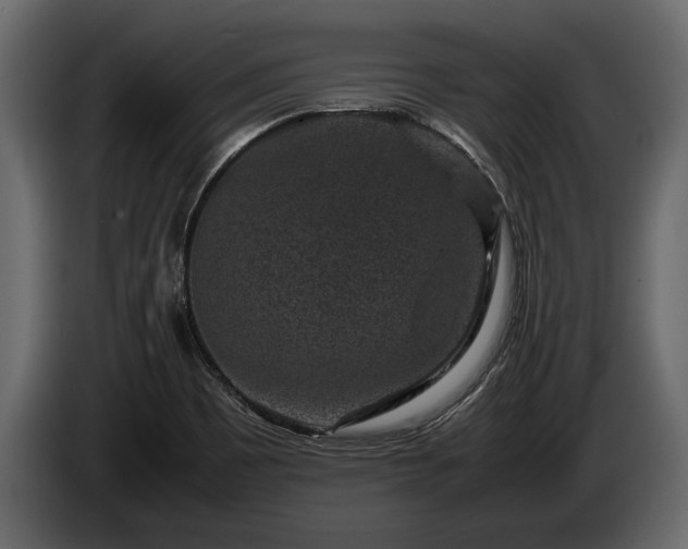 X0000085731465200703231037