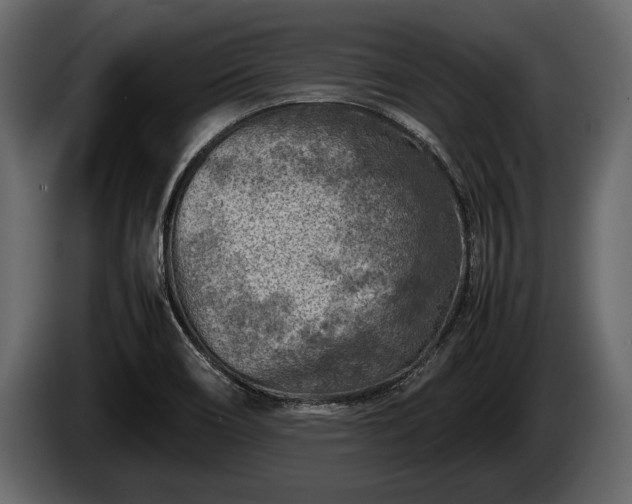 X0000085731466200703231037