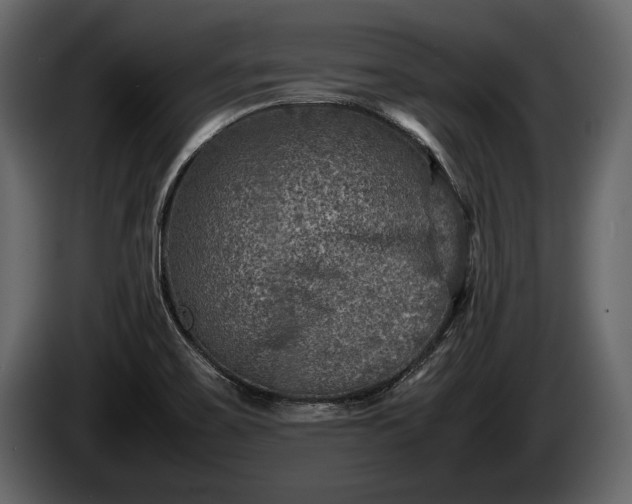 X0000085731467200703231037