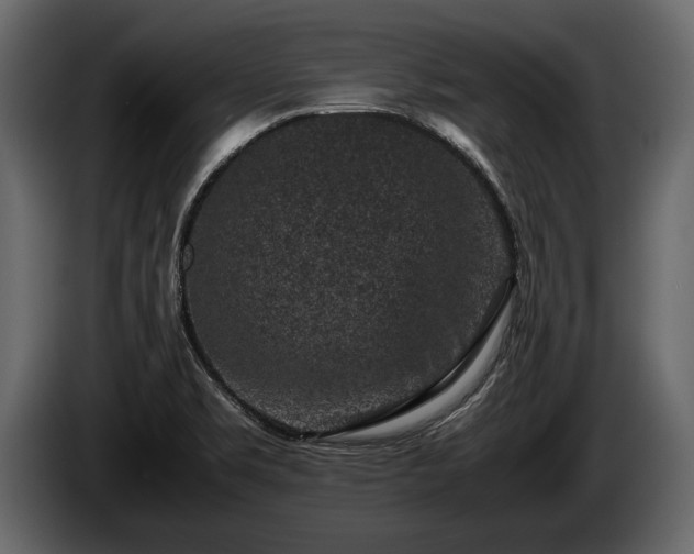 X0000085731469200703231037