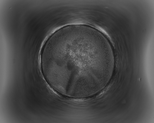 X0000085731472200703231037