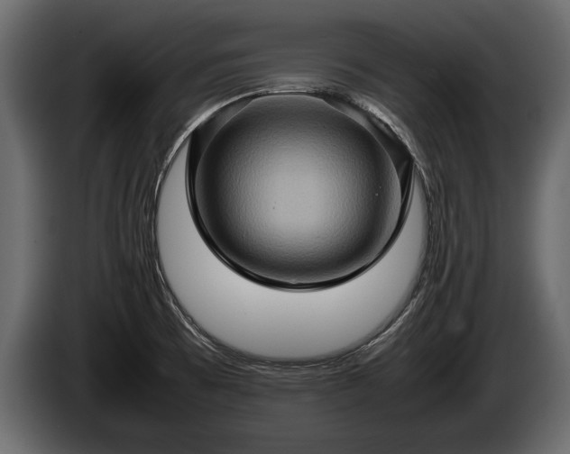 X0000085731473200703231037