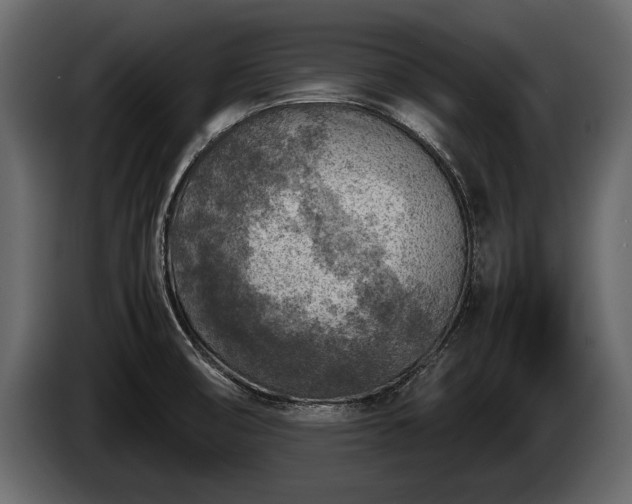 X0000085731474200703231037