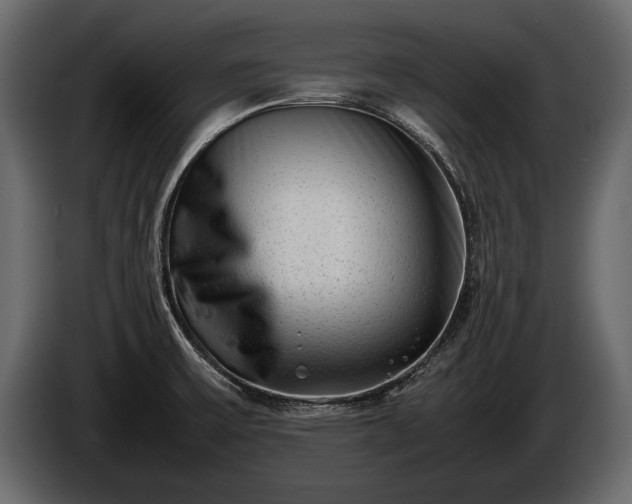 X0000085731475200703231037