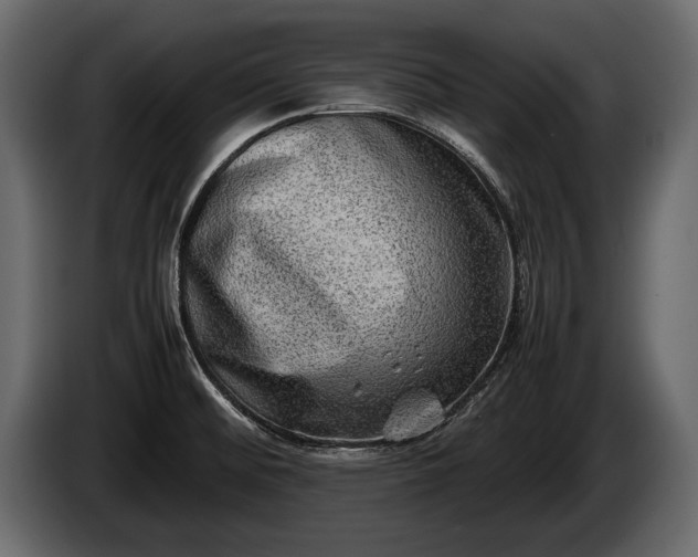 X0000085731476200703231037