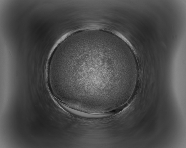 X0000085731477200703231037