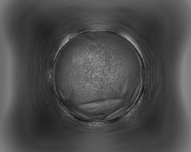 X0000085731481200703231037