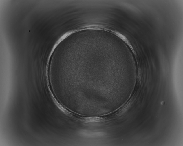 X0000085731482200703231037