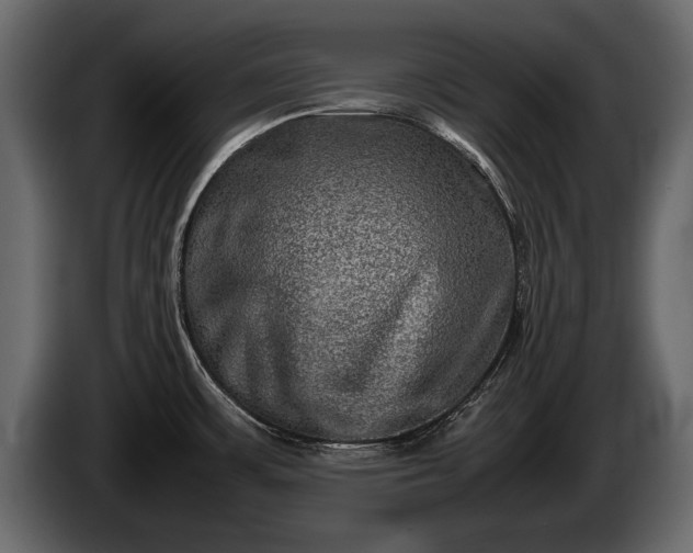 X0000085731483200703231037