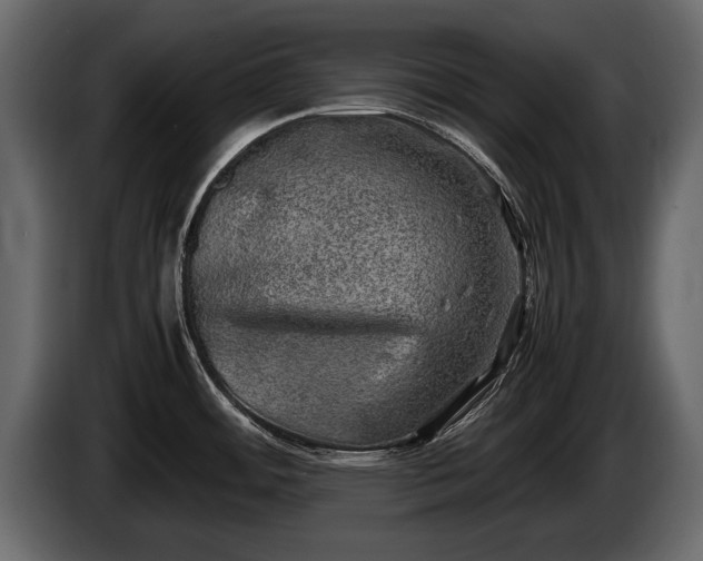 X0000085731484200703231037