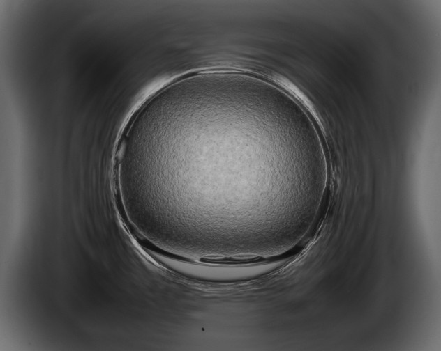 X0000085731485200703231037