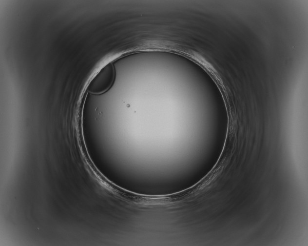 X0000085731486200703231037