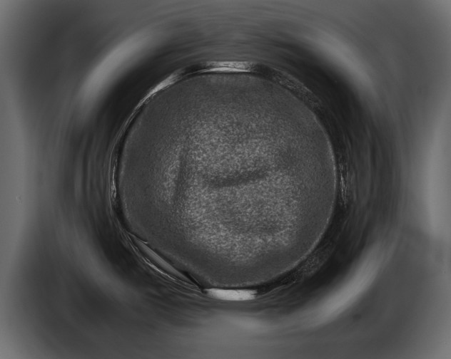 X0000085731487200703231037