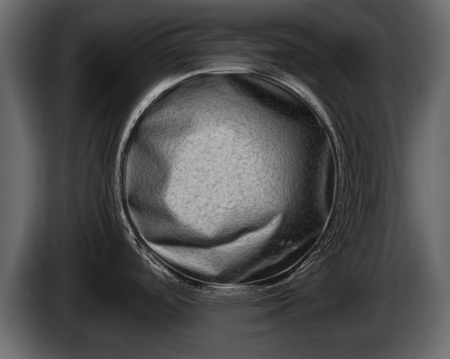 X0000085731488200703231037