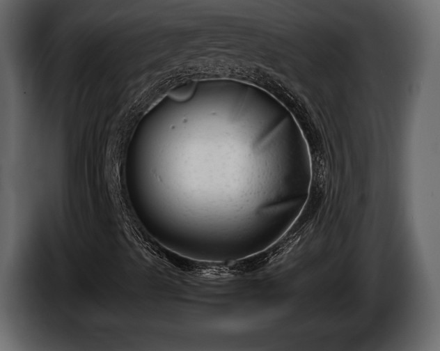 X0000085731489200703231036