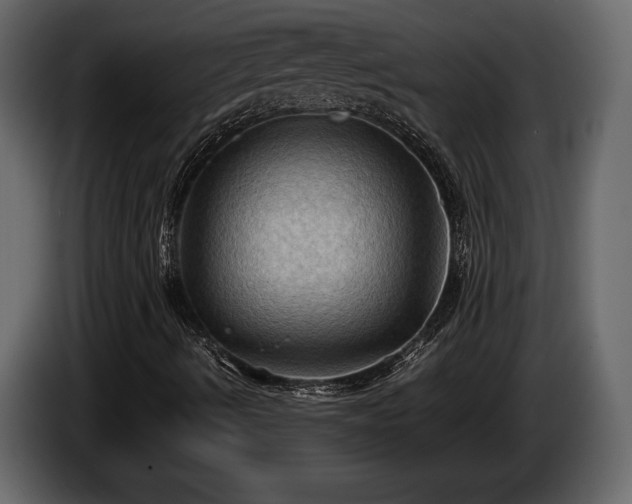 X0000085731490200703231036