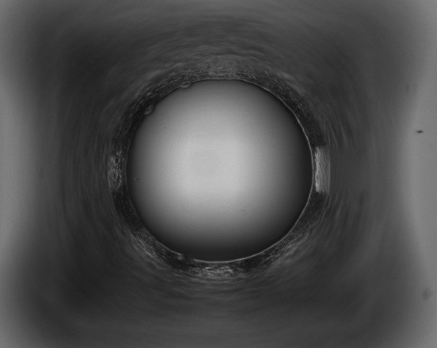 X0000085731491200703231036