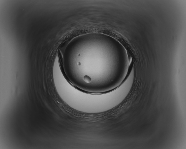 X0000085731492200703231036