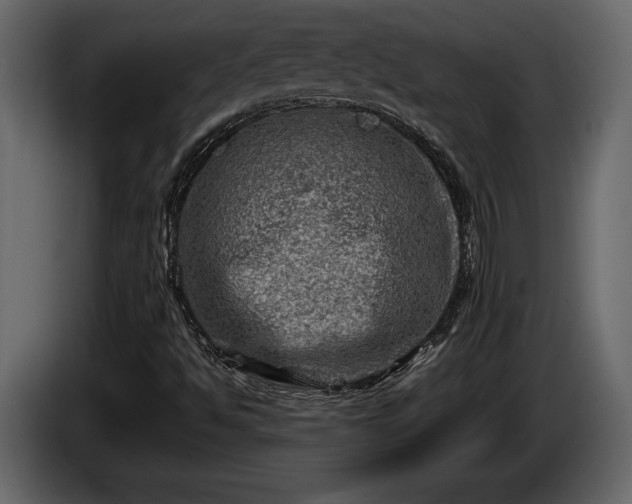 X0000085731494200703231037