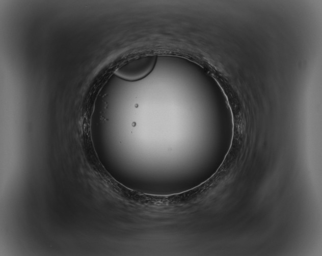 X0000085731495200703231037