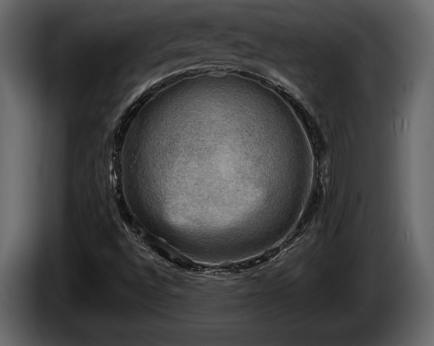 X0000085731496200703231037