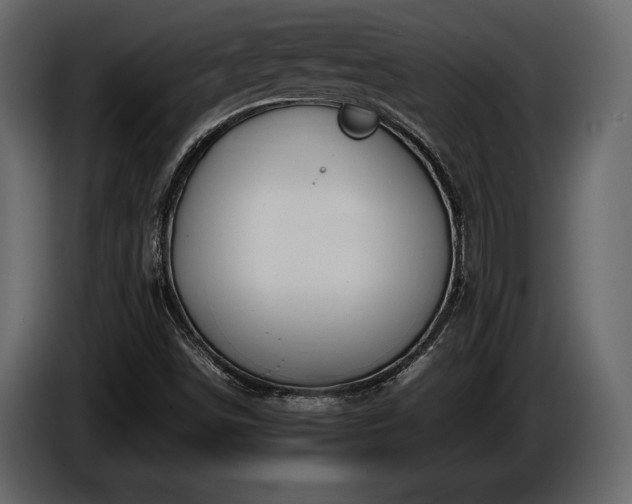 X0000085731498200703231037