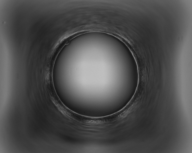 X0000085731499200703231037