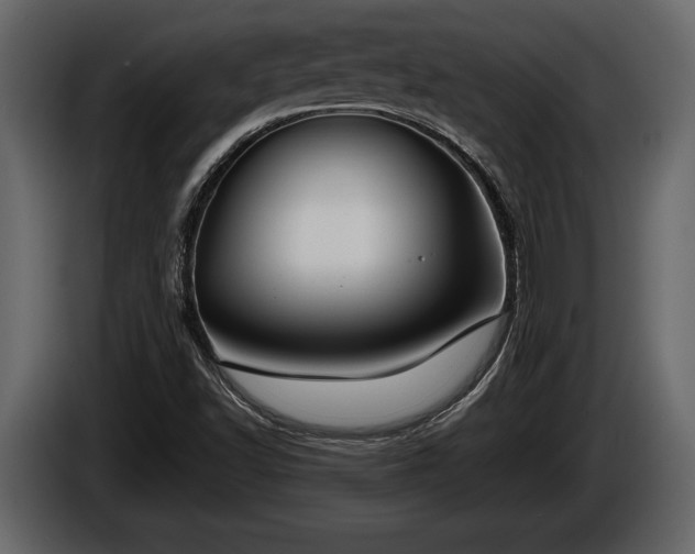 X0000085731502200703231037