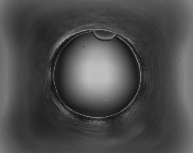 X0000085731503200703231037