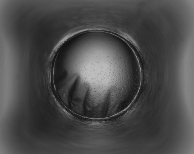 X0000085731504200703231037