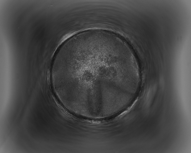 X0000085731505200703231037