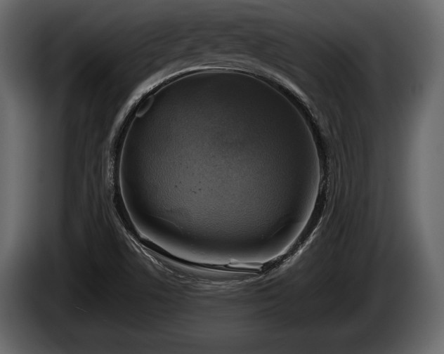 X0000085731506200703231037