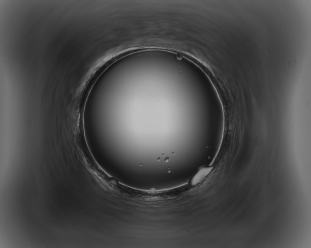 X0000085731507200703231037