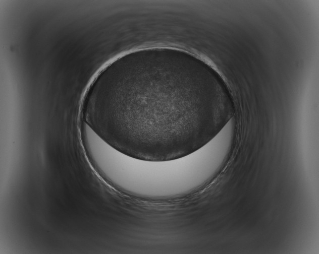 X0000085731508200703231037