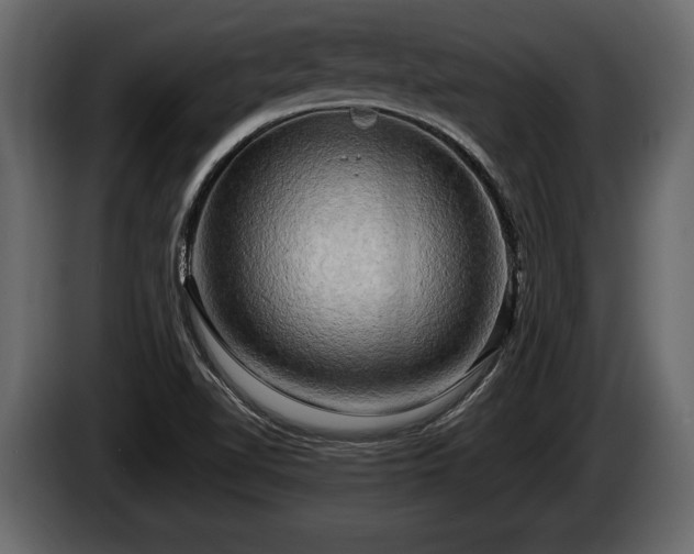 X0000085731510200703231037