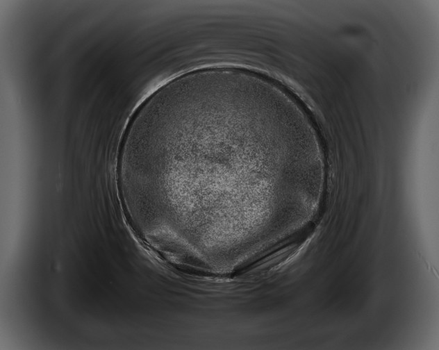 X0000085731513200703231037