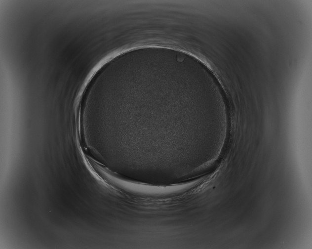 X0000085731515200703231037